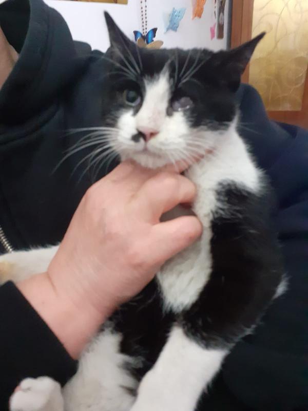 Fruttella, ipovedente a un occhietto Foto 3